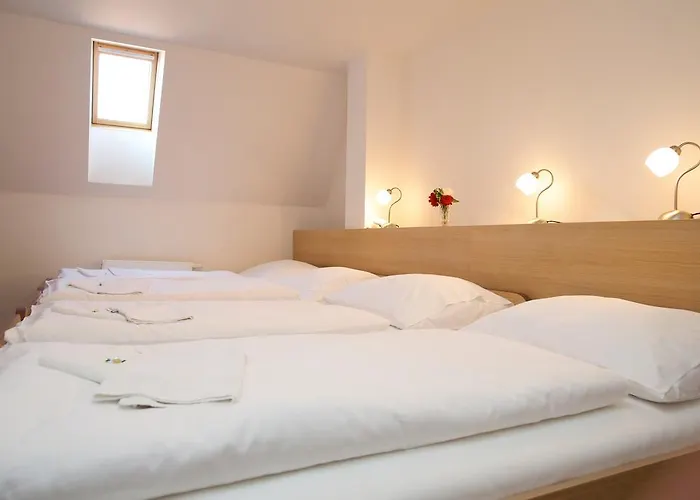 Zamek Berchtold Ξενοδοχείο 3*